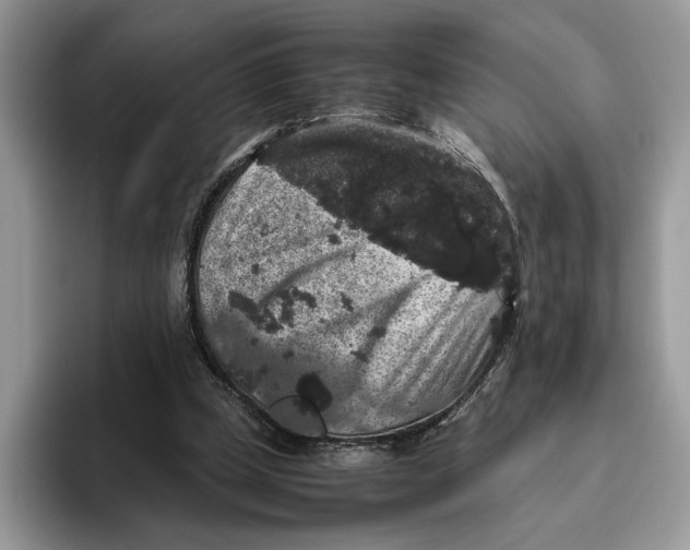 X0000095950249200802011107