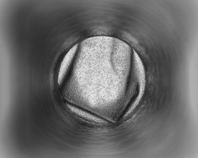 X0000095950250200802011107