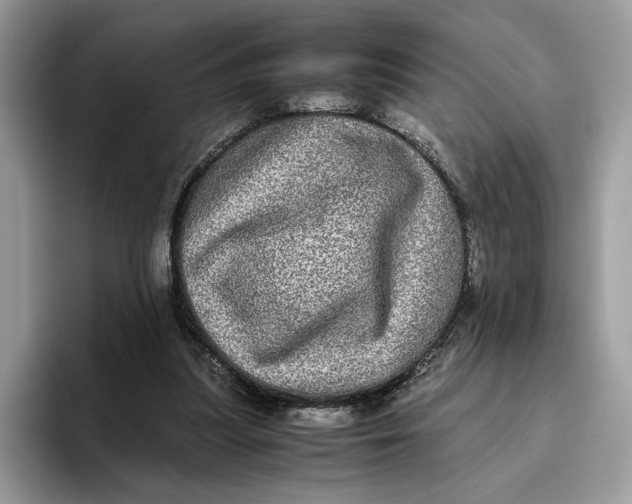 X0000095950251200802011107