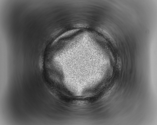 X0000095950255200802011107