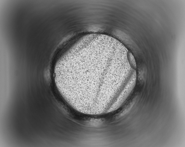 X0000095950256200802011107