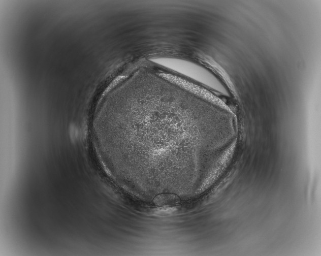 X0000095950257200802011107