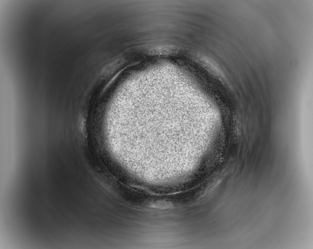 X0000095950258200802011107