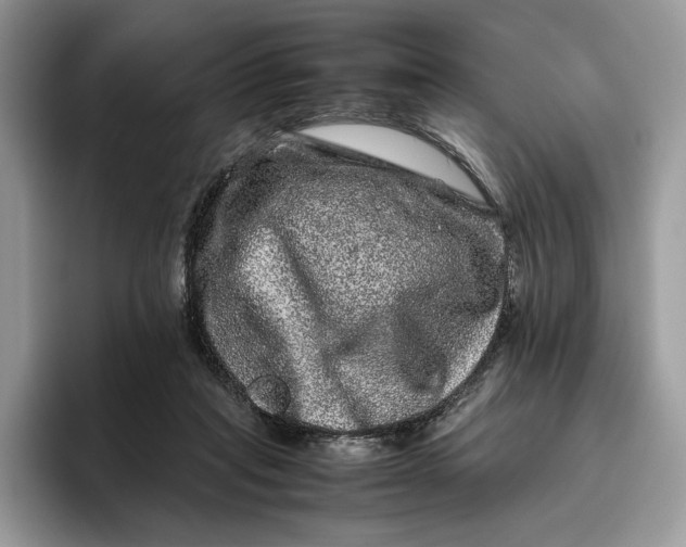 X0000095950261200802011107