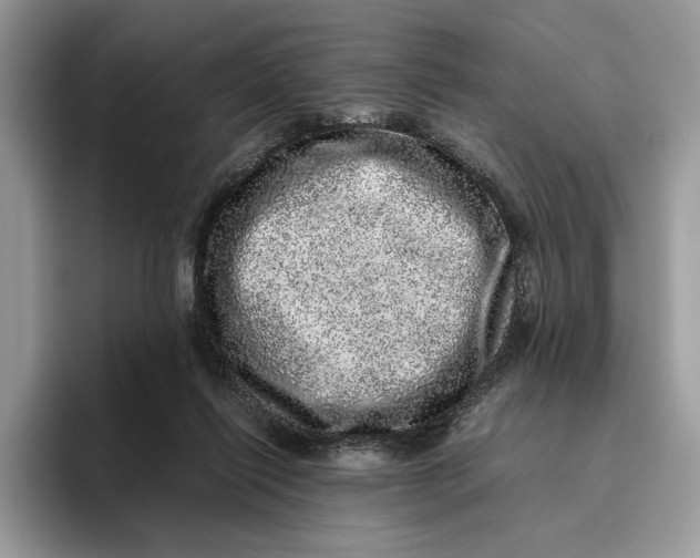 X0000095950262200802011107