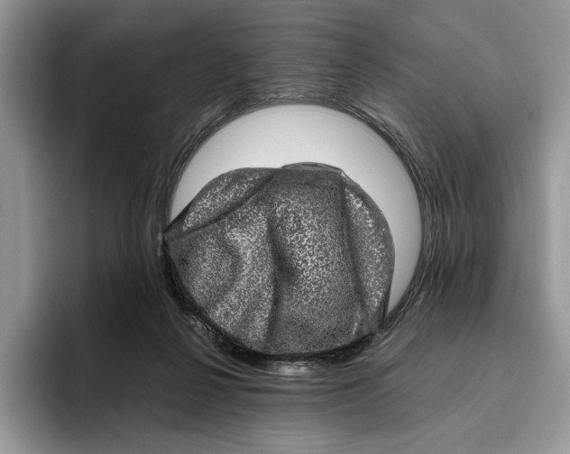 X0000095950264200802011108