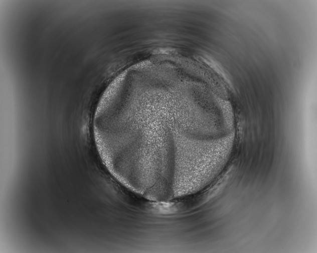 X0000095950265200802011108