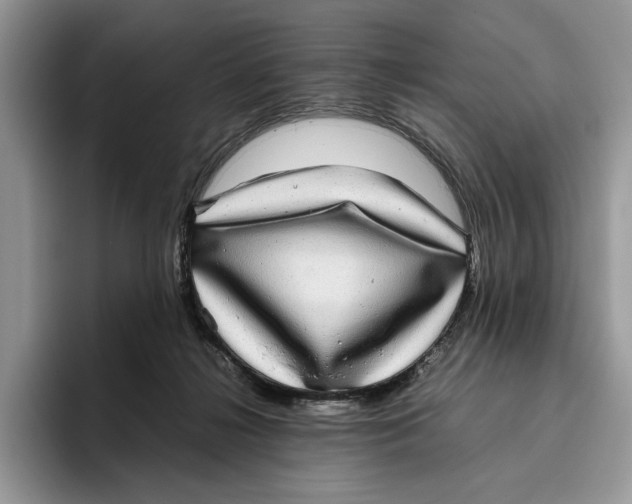 X0000095950268200802011108