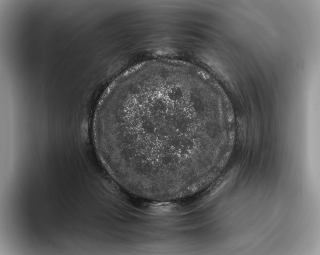 X0000095950269200802011108