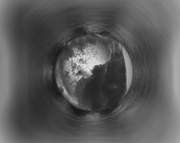 X0000095950271200802011108