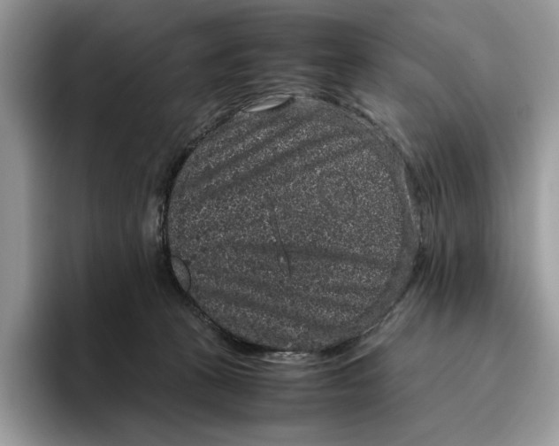 X0000095950273200802011108