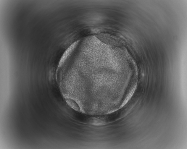 X0000095950275200802011108