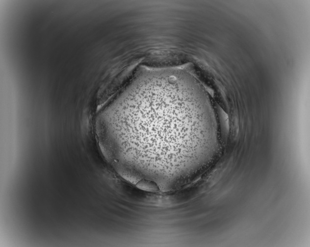 X0000095950276200802011108