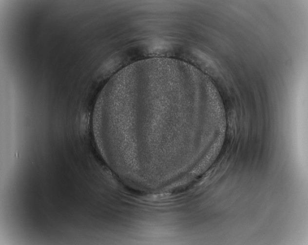 X0000095950278200802011108