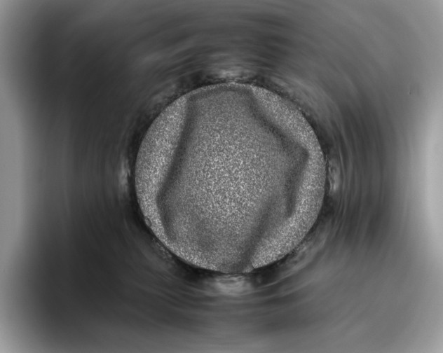 X0000095950279200802011108