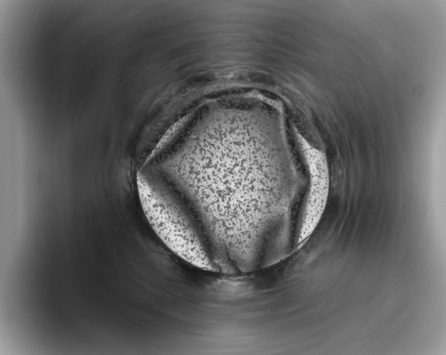 X0000095950280200802011108