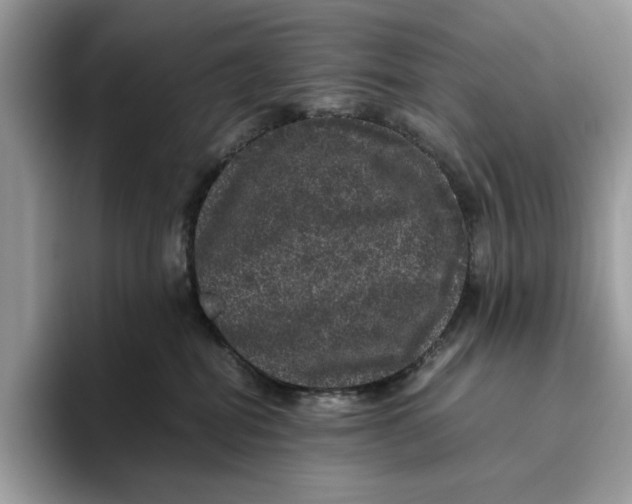 X0000095950282200802011108