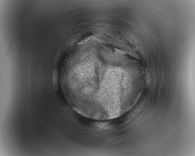 X0000095950283200802011108