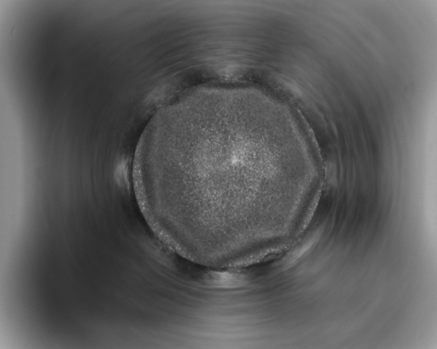 X0000095950286200802011108