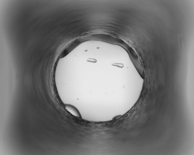 X0000095950289200802011107