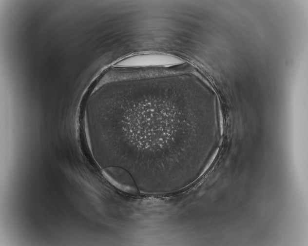 X0000095950290200802011107