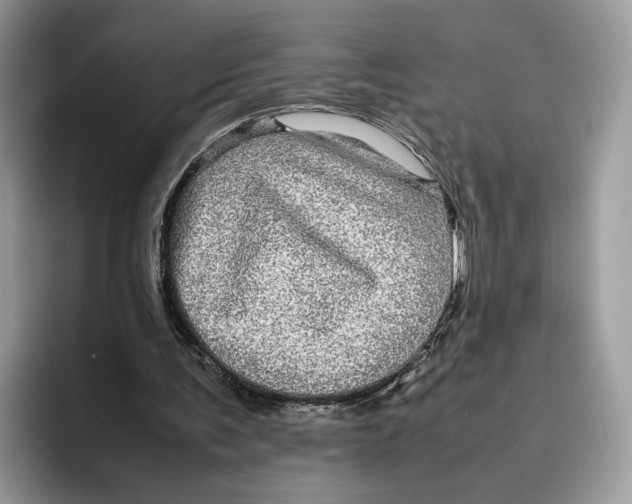 X0000095950291200802011107