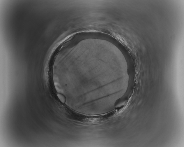 X0000095950295200802011107