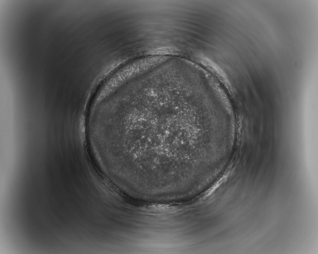 X0000095950298200802011107