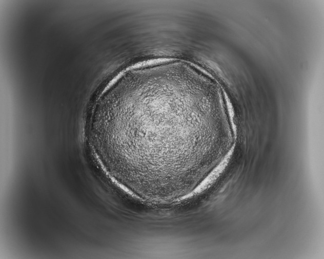 X0000095950299200802011107