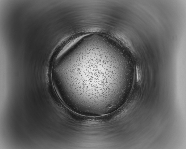 X0000095950300200802011107