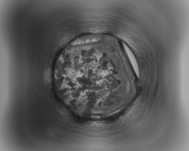 X0000095950303200802011107