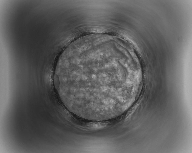 X0000095950305200802011107