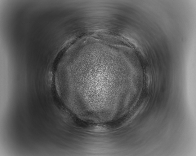 X0000095950308200802011107