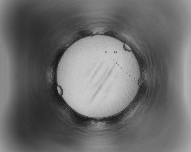 X0000095950311200802011107