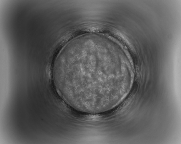 X0000095950313200802011107