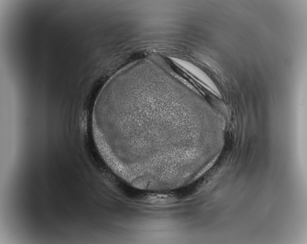 X0000095950315200802011107