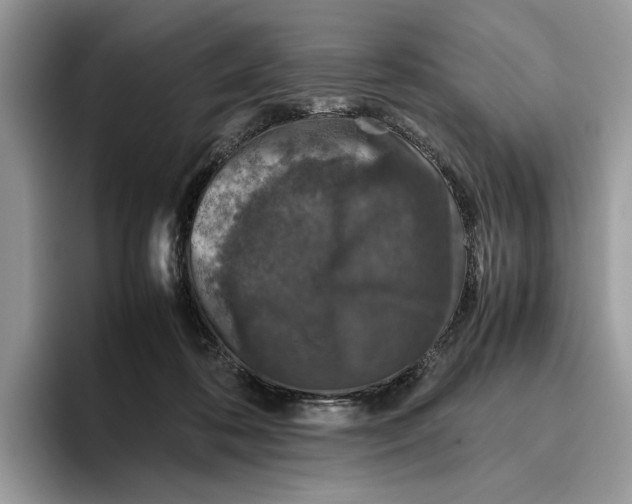 X0000095950316200802011107