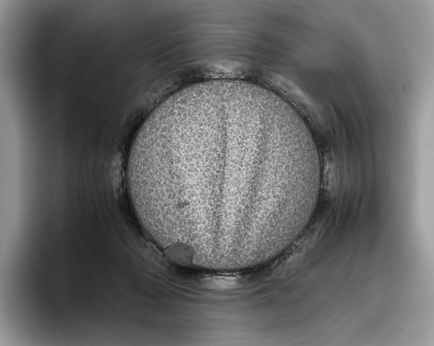 X0000095950318200802011107