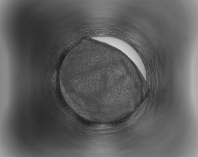 X0000095950319200802011107