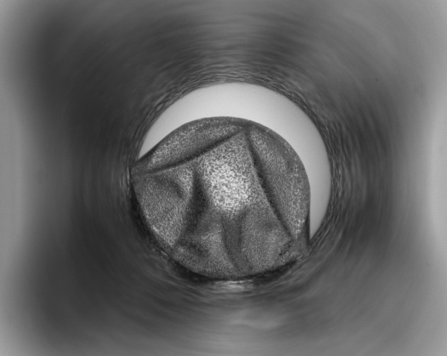 X0000095950320200802011107