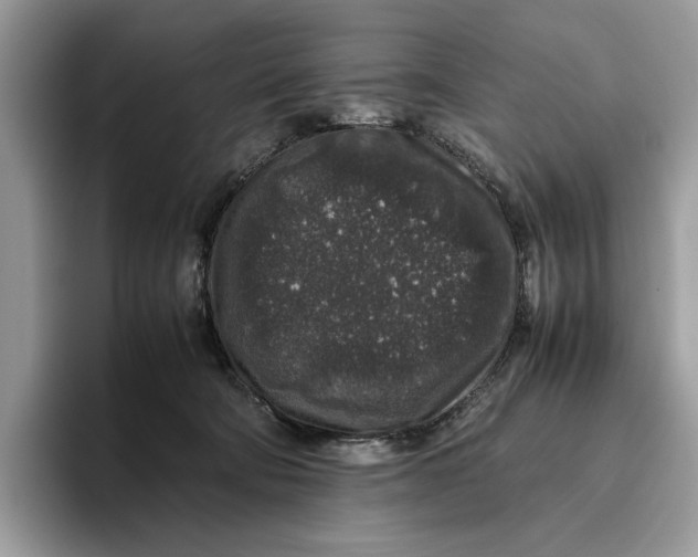 X0000095950322200802011107