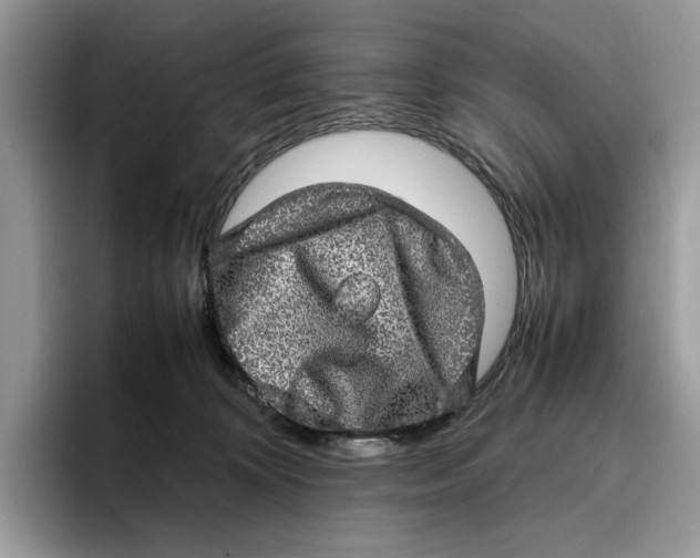 X0000095950324200802011107