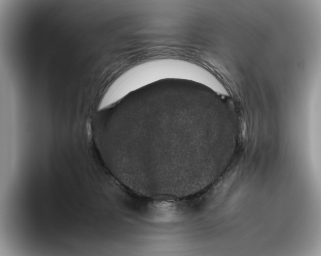 X0000095950325200802011107