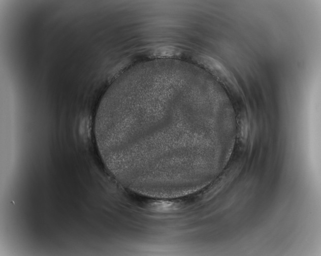 X0000095950326200802011107