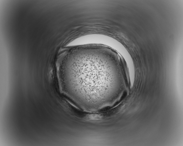 X0000095950327200802011107