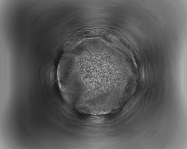 X0000095950328200802011107