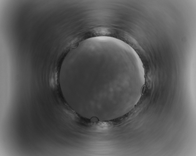 X0000095950330200802011107