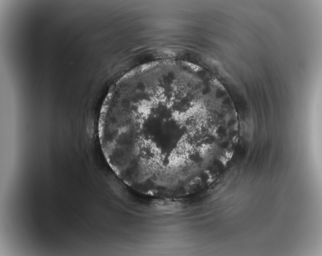 X0000095950331200802011107