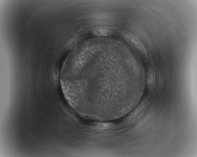 X0000095950332200802011107