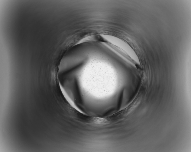 X0000095950333200802011107